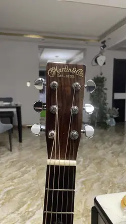 FENDER GIBSON LBANEZ