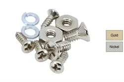 PICKGUARD BRACKET SCREW AND NUT SET OF 2 FOR  GIBSON LES PAUL