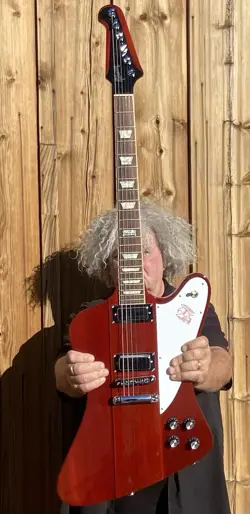 MELVINS OWNED