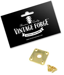 GOLD FLAT METAL JACK PLATE FOR GIBSON LES PAUL GUITAR SQUARE W/SCREWS *NEW*