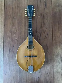 1920S GIBSON A2