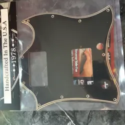 FACE PICKGUARD