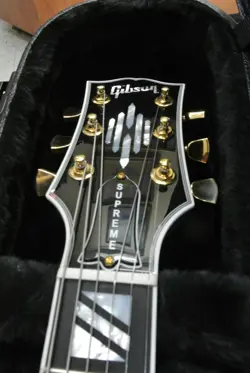 ES-335 STRINGS