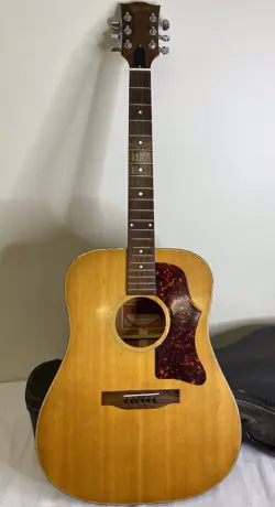 1970S GIBSON J-50