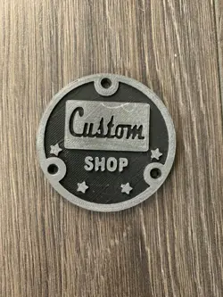 CUSTOM SINGLE CUT ELECTRIC GUITAR TOGGLE SWITCH BACK COVER FITS GIBSON EPIPHONE