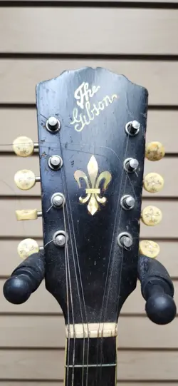 MANDOLIN GUITAR