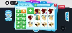 ADOPT ME ACCOUNT