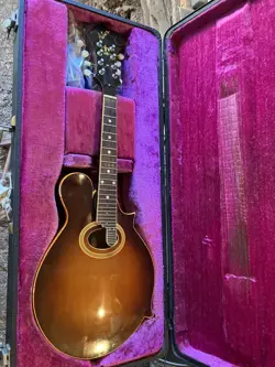 LUTHIER PROJECT SEE