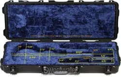 CASE WITH