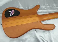 WARWICK BASS 5 STRING STREAMER NT1 FROM JAPAN