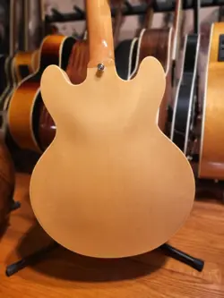 339 SEMIHOLLOW ACOUSTIC