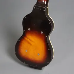 LAP STEEL ELECTRIC