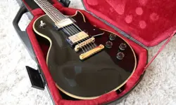CUSTOM 1984