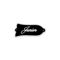 GUITARS CUSTOM SHOP