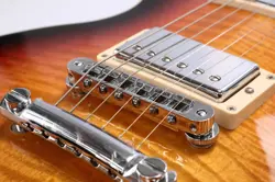 PAUL STANDARD TRIBURST