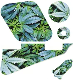 GUARD COVER