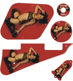 GUARD GRAPHICAL PICKGUARD