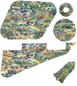 KIT PICKGUARD PICK GUARD GRAPHICAL COVER GIBSON LP LES PAUL GUITAR SHELL PAUA