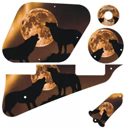 KIT PICKGUARD SCRATCHPLATE GRAPHICAL COVERS GIBSON LES PAUL GUITAR MOJO MOON NEW