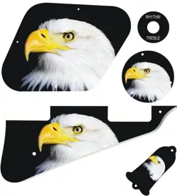 KIT PICKGUARD PICK GUARD GRAPHICAL GIBSON LP LES PAUL GUITAR US PATRIOT EAGLE BK