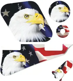 KIT PICKGUARD PICKGUARD GRAPHICAL GIBSON LP LES PAUL GUITAR US PATRIOT EAGLE 1