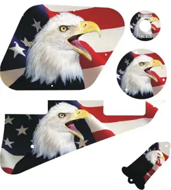 KIT PICKGUARD PICK GUARD GRAPHICAL GIBSON LP LES PAUL GUITAR US PATRIOT EAGLE 2