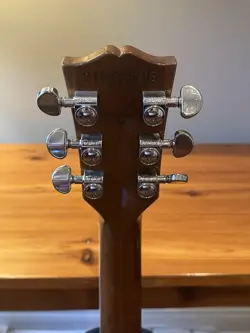 LES PAUL MINT