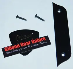 GENUINE PLATE GUITAR