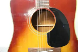ACOUSTIC GUITAR +OHSC