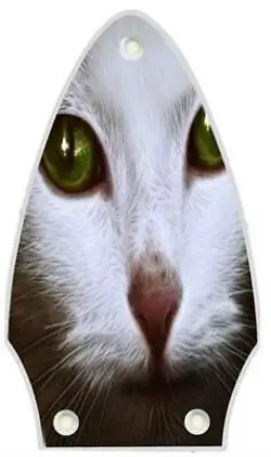 GUITAR CAT