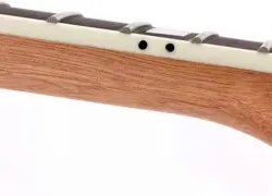 22 FRET ELECTRIC