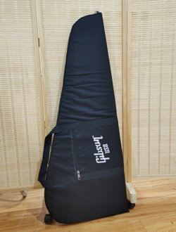 IBANEZ ~BLACK~