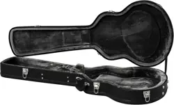 NEW EPIPHONE JACK CASADY BASS GUITAR CASE + MAY FIT GIBSON EB-2 OR ES-335 BASS