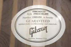 GLOSS ACOUSTIC