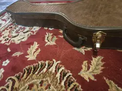 ALLIGATOR CASE