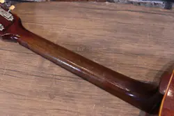 1965Y
