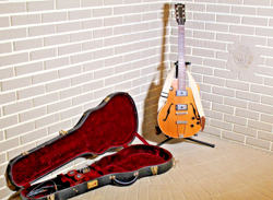 GIBSON CUSTOM SHOP ES-446 YEAR 2001