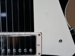TOP EBONY ELECTRIC