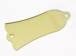 PLASTIC GOLD MIRROR LP GUITAR TRUSS ROD COVER 2 HOLE FITS GIBSON LES PAUL