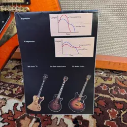 USA GUITAR BASS