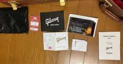 VINTAGE BURST ES-335