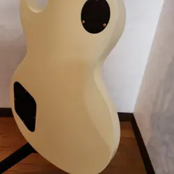 CUSTOM LIGHT