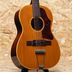 GIBSON B-25-12 1965 (1965) (250329)