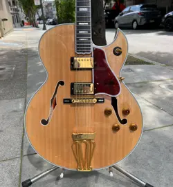 BYRDLAND STUNNING