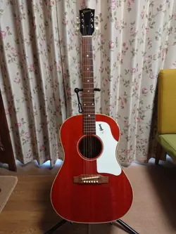 00379036