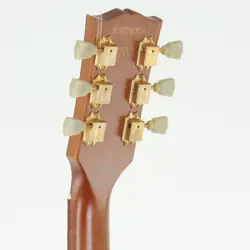 GIBSON SMART
