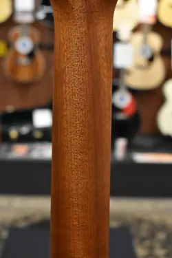 GIBSON G-BIRD 2022