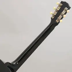 00 EBONY LIGHT