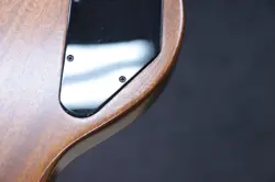 ELECTRIC GUITAR W/CASE