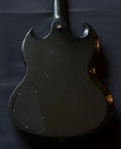EBONY NO.DG1621